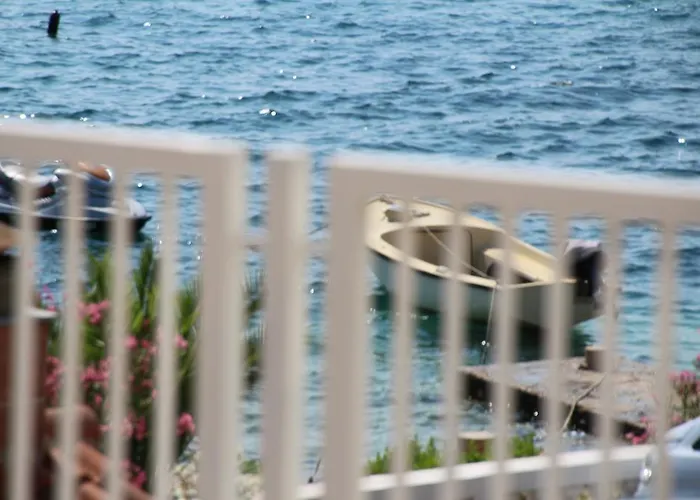 Pinna Nobilis - Ground Floor ברודאריצה